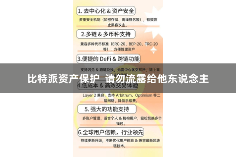 比特派资产保护  请勿流露给他东说念主