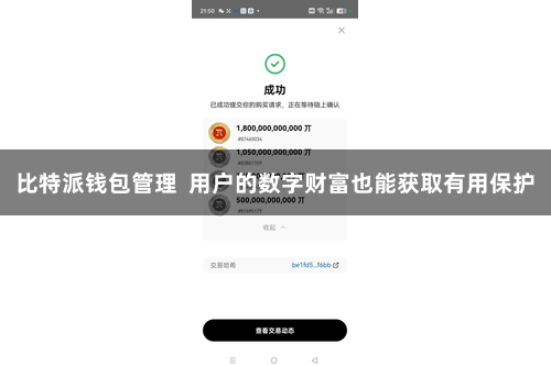 比特派钱包管理  用户的数字财富也能获取有用保护