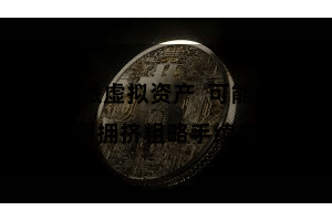 比特派虚拟资产  可能是因为网罗拥挤粗略手续费不及