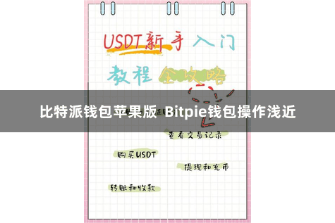 比特派钱包苹果版  Bitpie钱包操作浅近