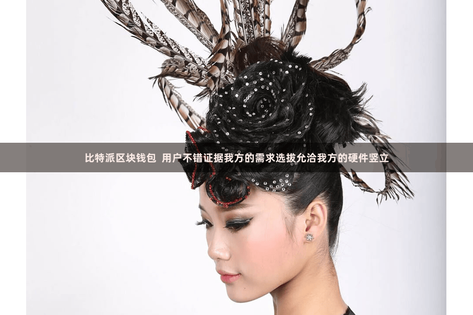 比特派区块钱包  用户不错证据我方的需求选拔允洽我方的硬件竖立