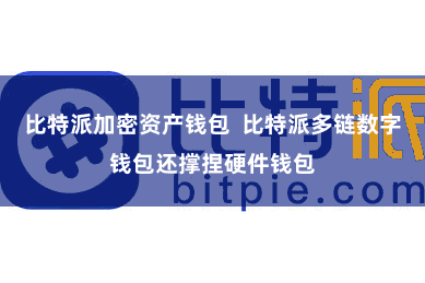 比特派加密资产钱包  比特派多链数字钱包还撑捏硬件钱包