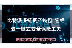 比特派多链资产钱包  它经受一键式安全保险工夫