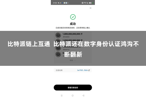 比特派链上互通  比特派还在数字身份认证鸿沟不断翻新