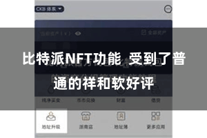 比特派NFT功能  受到了普通的祥和软好评