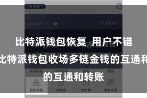 比特派钱包恢复  用户不错通过比特派钱包收场多链金钱的互通和转账