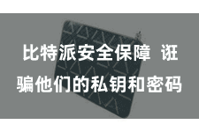 比特派安全保障  诳骗他们的私钥和密码
