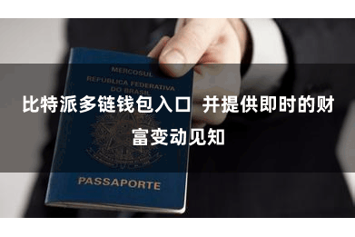 比特派多链钱包入口  并提供即时的财富变动见知