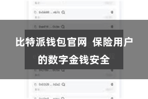 比特派钱包官网  保险用户的数字金钱安全