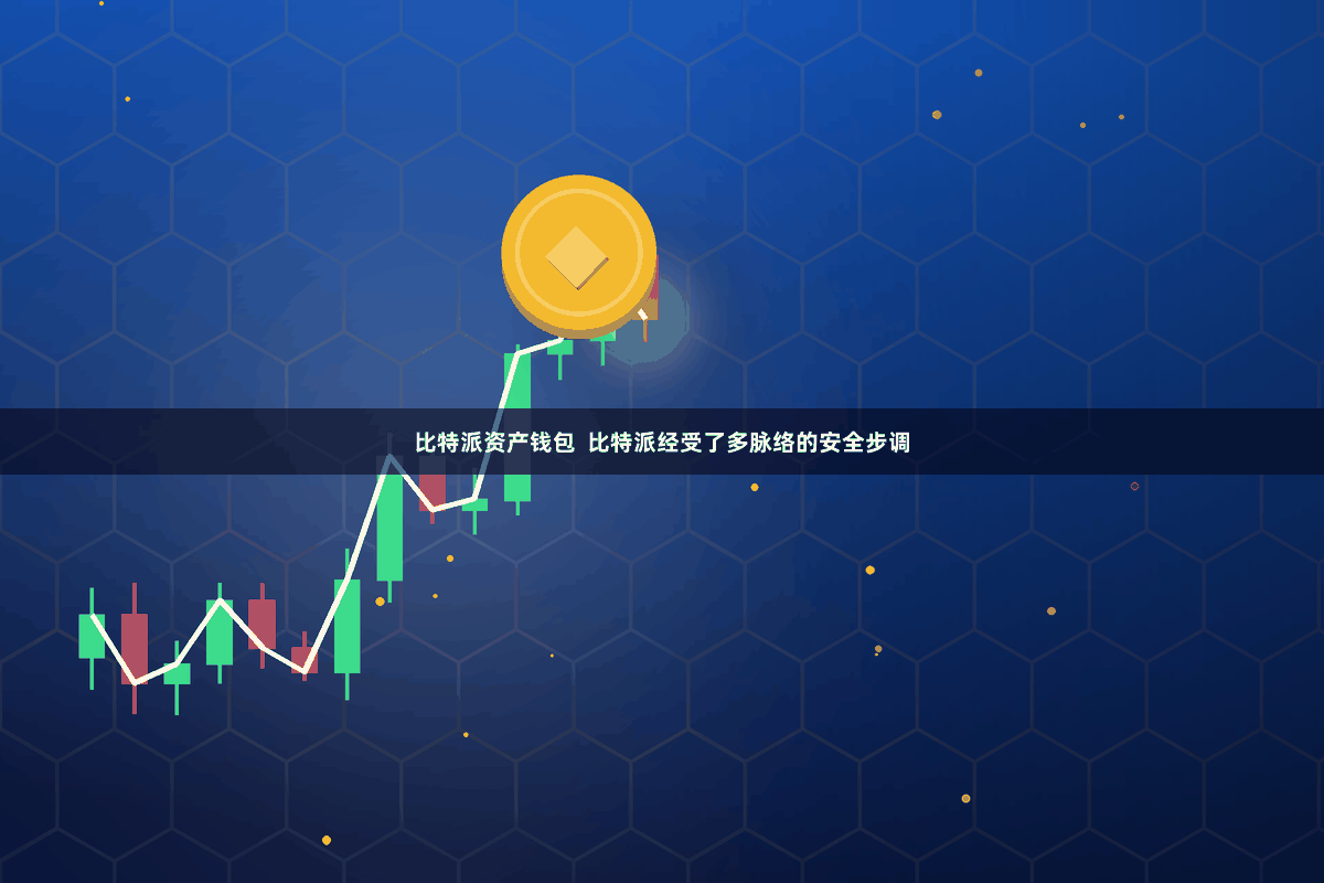 比特派资产钱包 比特派经受了多脉络的安全步调